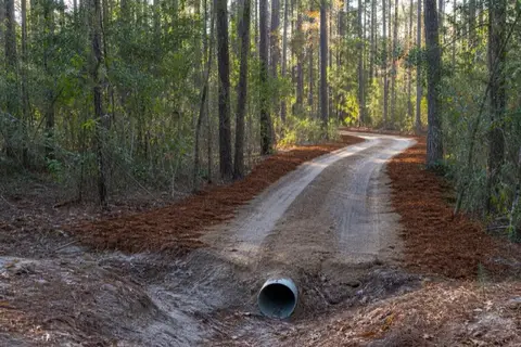Fresh sandy driveway curving through pines with mulched shoulders and a culvert set at the roadside ditch