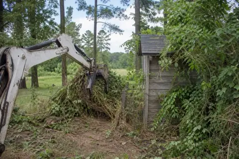 Excavator peeling a mat of kudzu vines off a fence corner with a privet thicket standing nearby